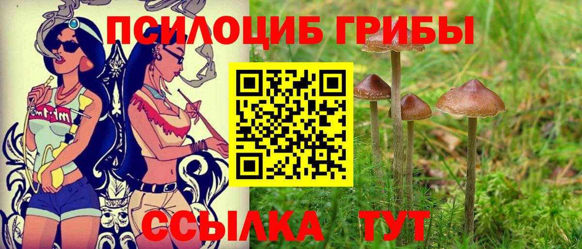 Галлюциногенные грибы Кыштым
