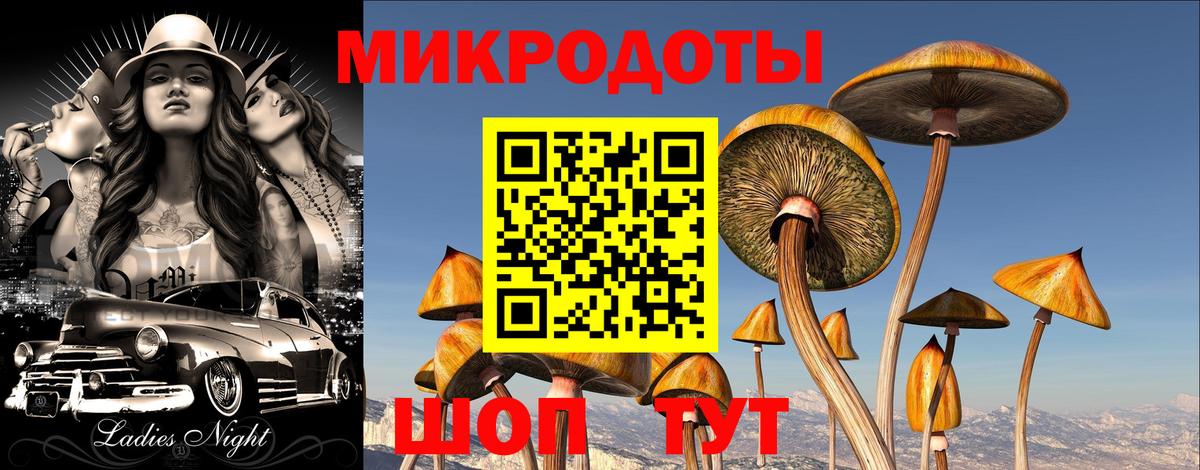 Псилоцибиновые грибы Magic Shrooms  Вход с VPN  Кыштым 
