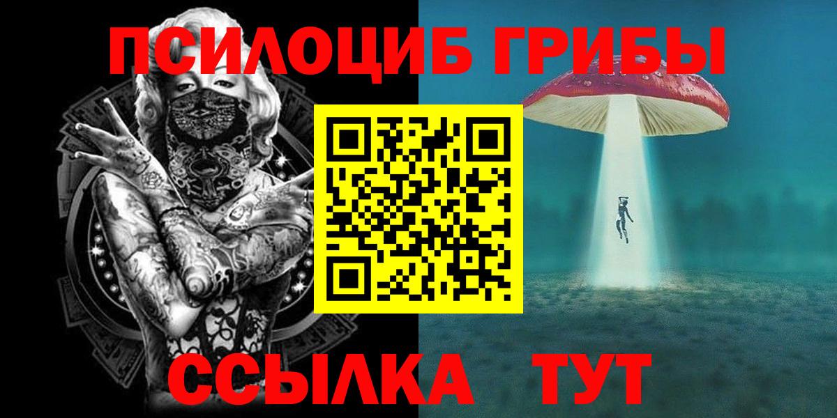 Галлюциногенные грибы Psilocybe Кыштым
